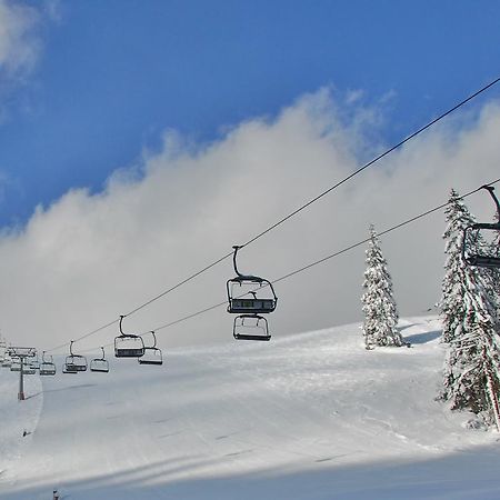 Holzbox Niederalpl Aparthotel Mürzsteg Buitenkant foto